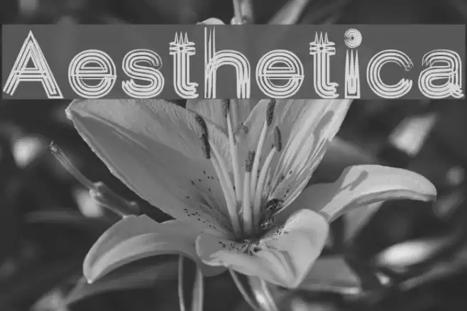 Aesthetica Font examples