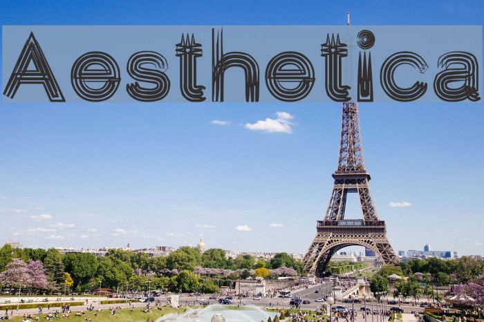 Aesthetica Polices examples