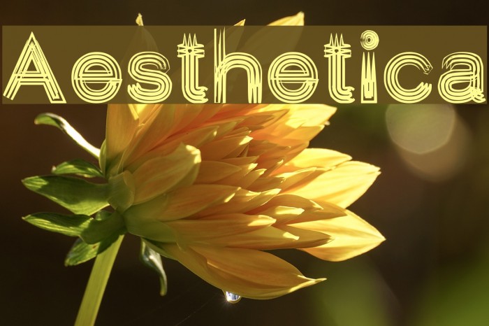 Aesthetica Polices examples