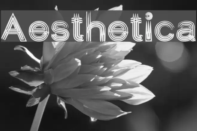 Aesthetica Font examples