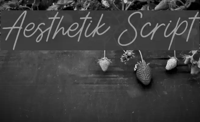 Aesthetik Script Font examples