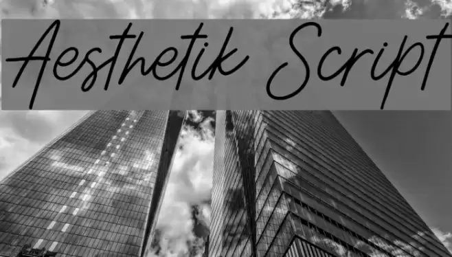 Aesthetik Script Font examples