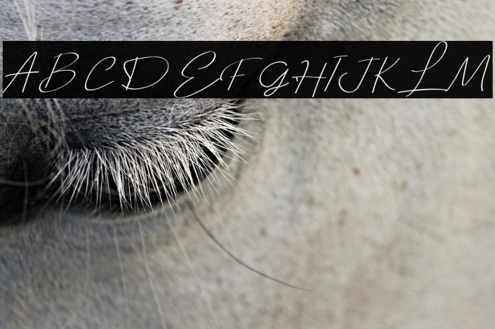 Aesthetika Example 1