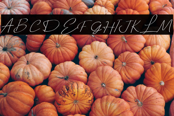 Aesthetika Example 3