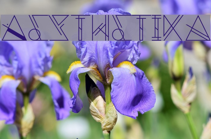 Aesthetika Font examples