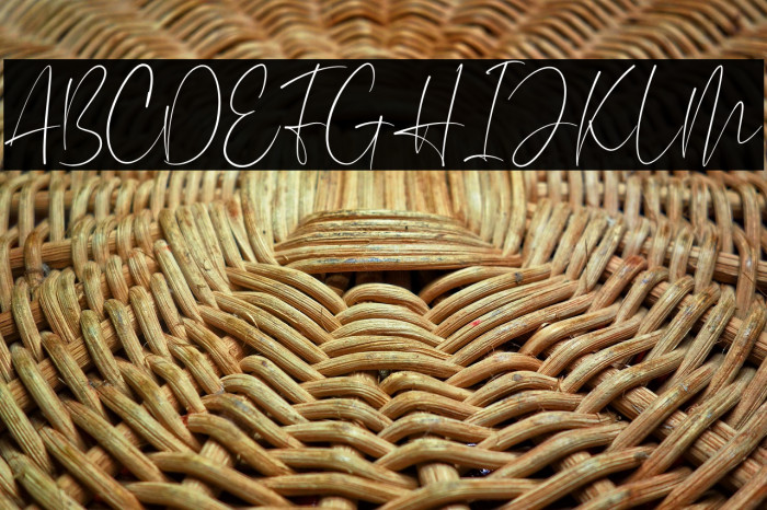 Aesthetikos Example 2