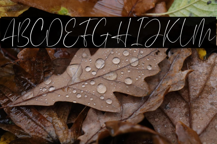 Aesthetikos Example 3