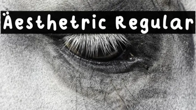 Aesthetric Regular Example 1