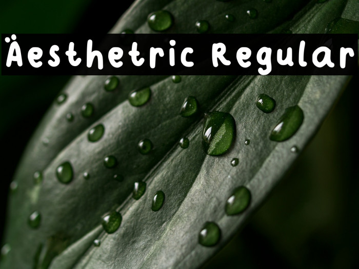 Aesthetric Regular Example 3