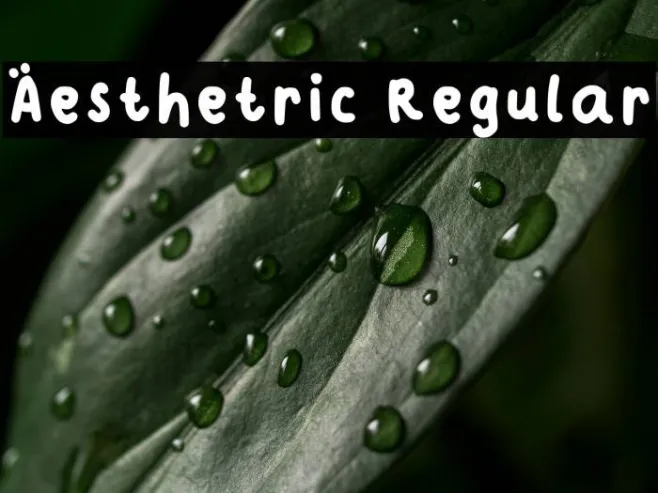 Aesthetric Regular Example 3