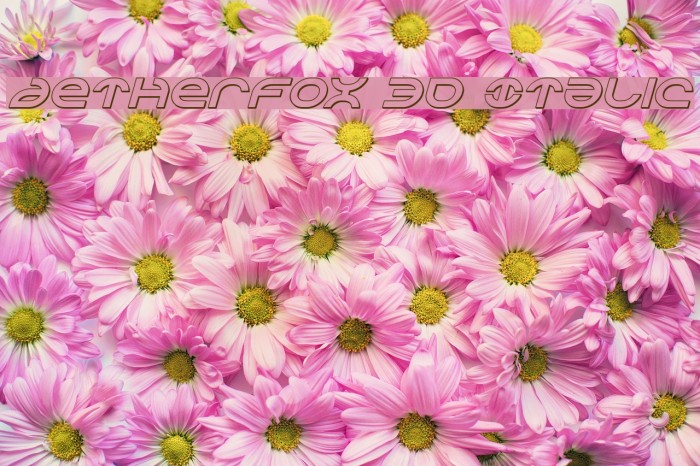 Aetherfox 3D Italic Font examples