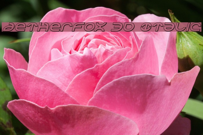 Aetherfox 3D Italic Font examples