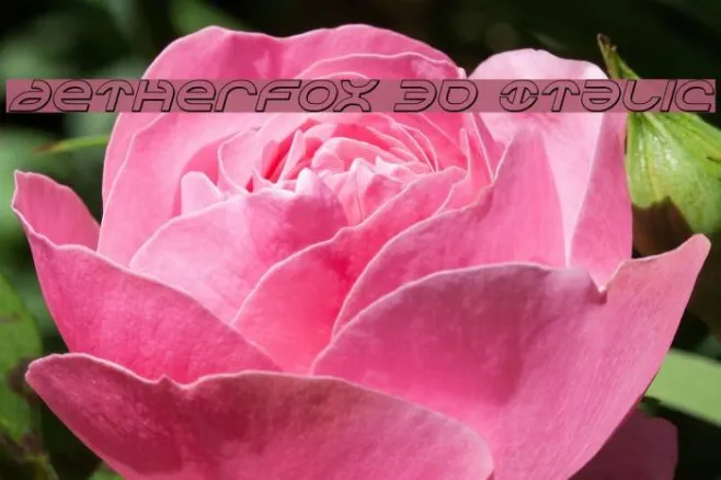 Aetherfox 3D Italic Example 3