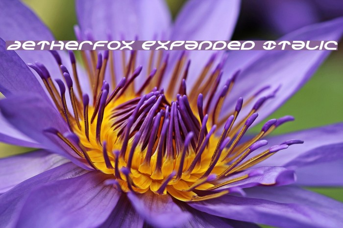 Aetherfox Expanded Italic Font examples
