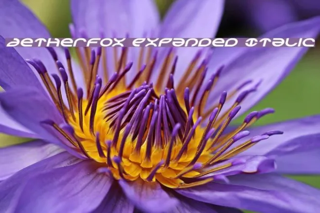 Aetherfox Expanded Italic Example 1