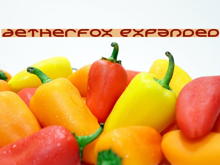 Aetherfox Expanded Example 1