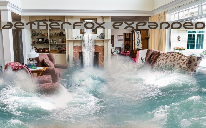 Aetherfox Expanded Example 3