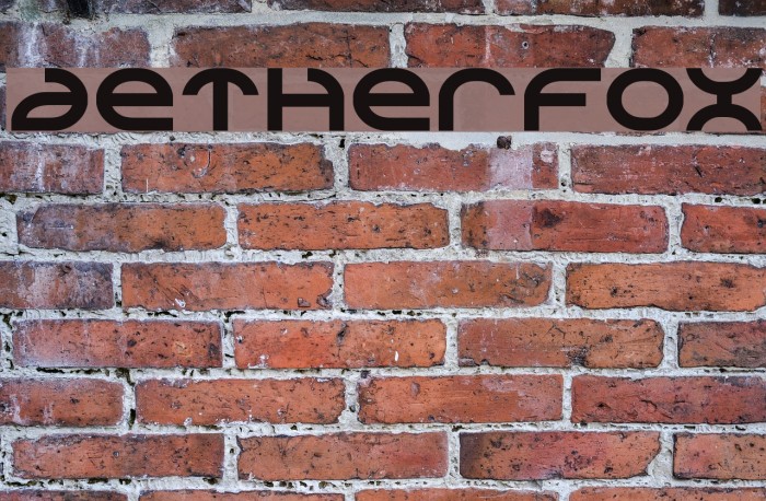 Aetherfox Polices examples