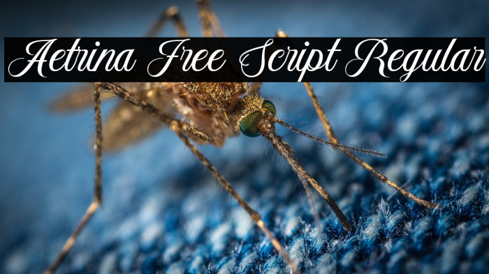 Aetrina Free Script Regular Example 1