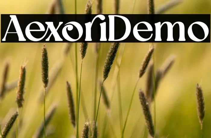 Aexori Demo Example 1