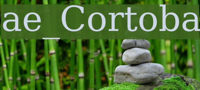 ae_Cortoba Font examples
