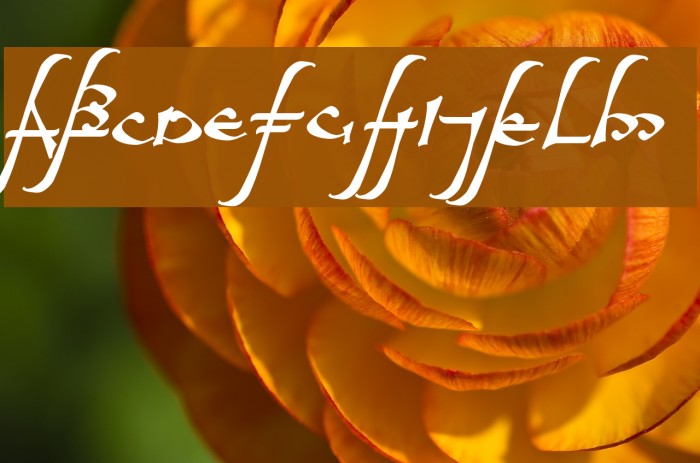 aelfa Font examples