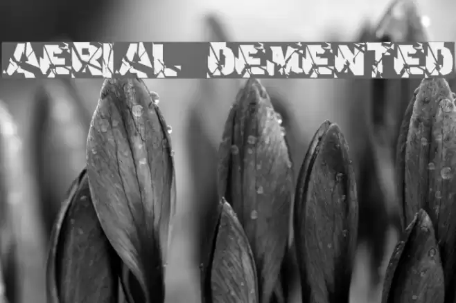 aerial demented Font examples