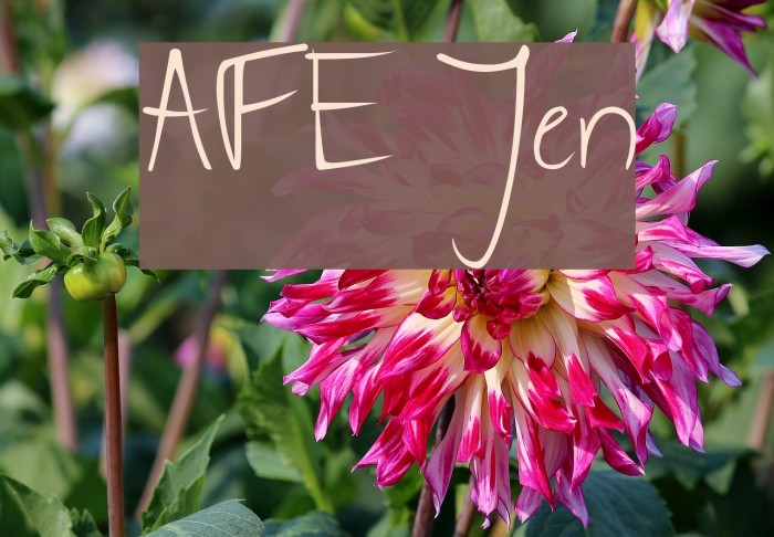 AFE Jen Font examples