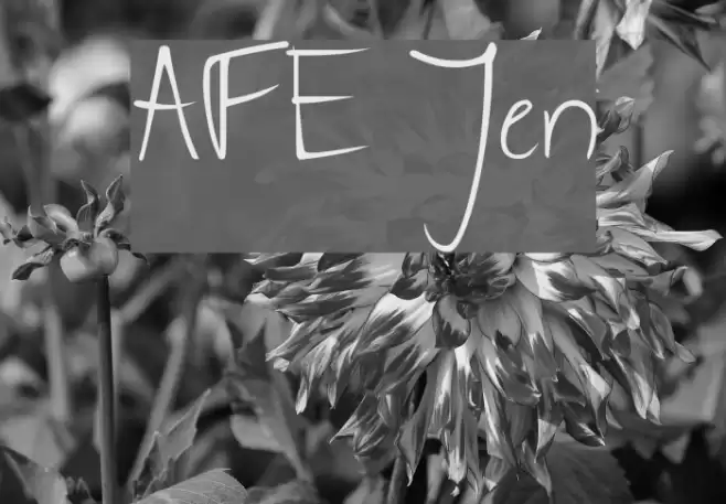AFE Jen Font examples