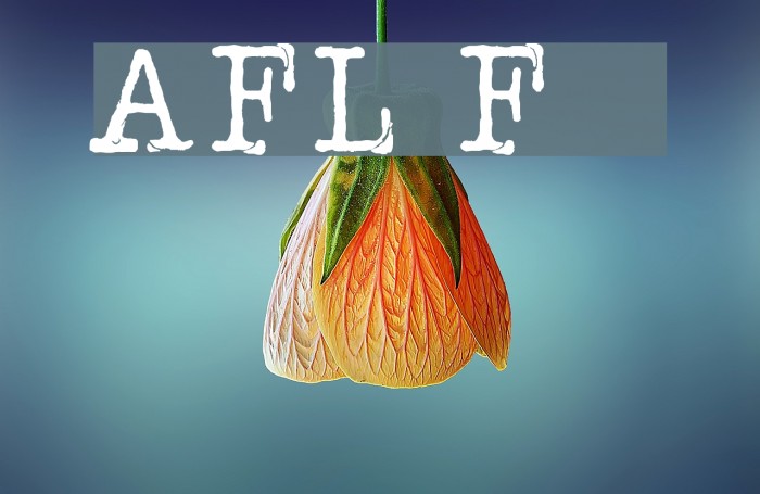 AFL Font pespaye nonmetric Font examples