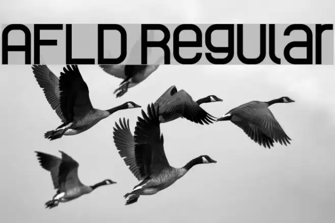 AFLD Regular Font examples