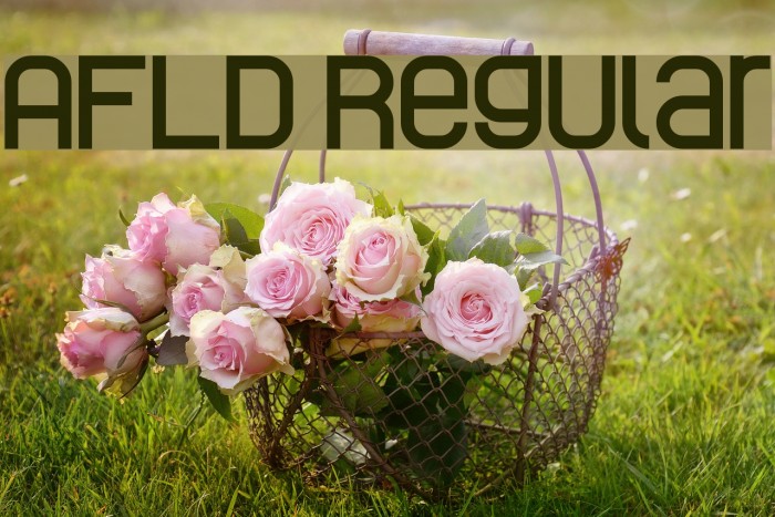 AFLD Regular Font examples