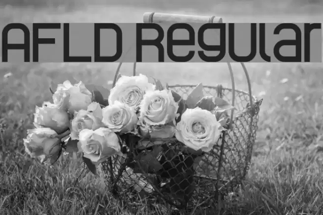 AFLD Regular Font examples