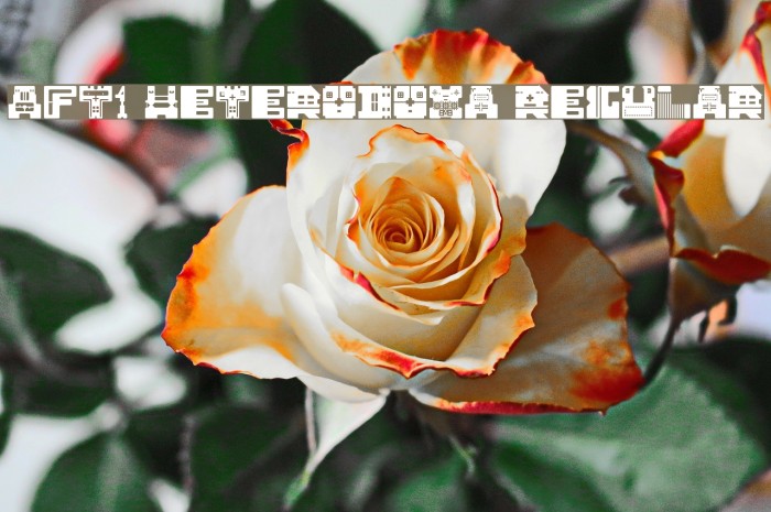 AFT1 Heterodoxa Regular Font examples