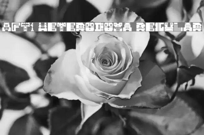 AFT1 Heterodoxa Regular フォント examples