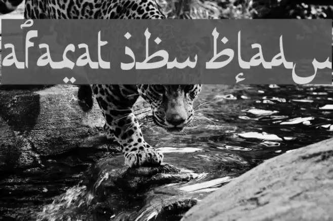 Afarat ibn Blady Font examples