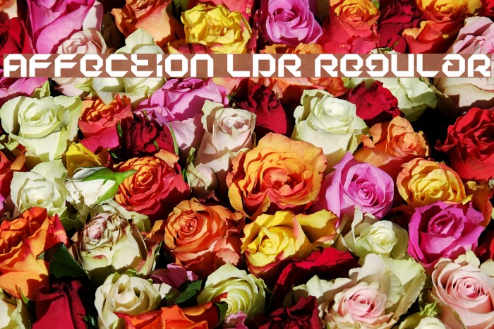 Affection LDR Regular Font examples