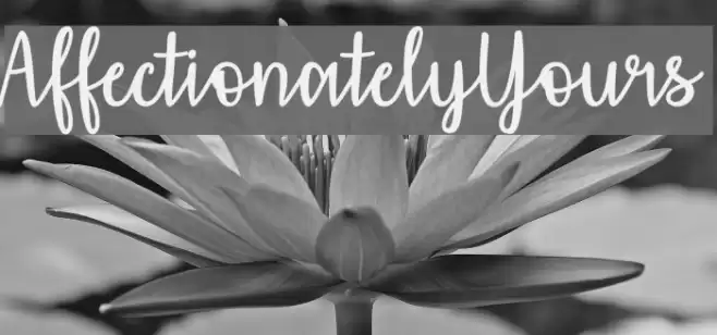 AffectionatelyYours Font examples