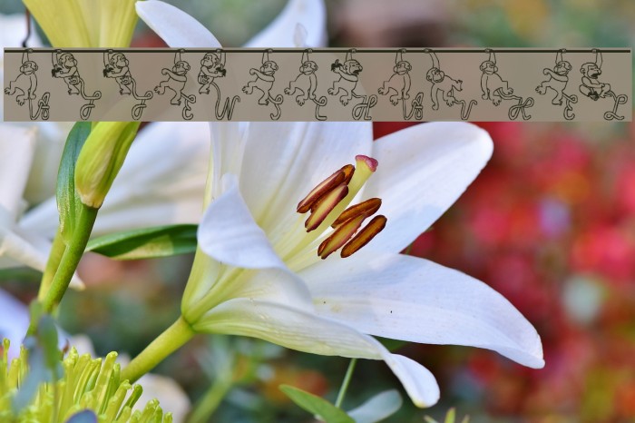 Affenschaukel Example 3