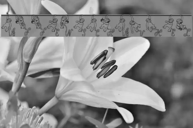 Affenschaukel Font examples