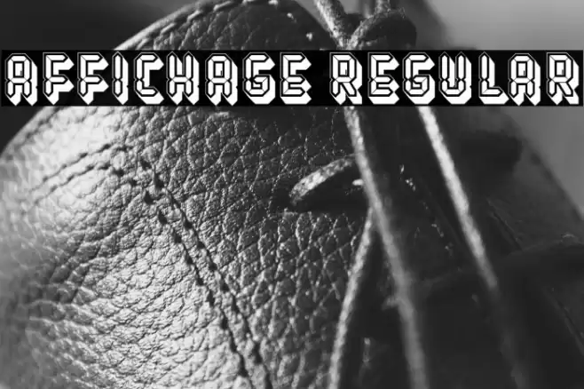 Affichage Regular Font examples