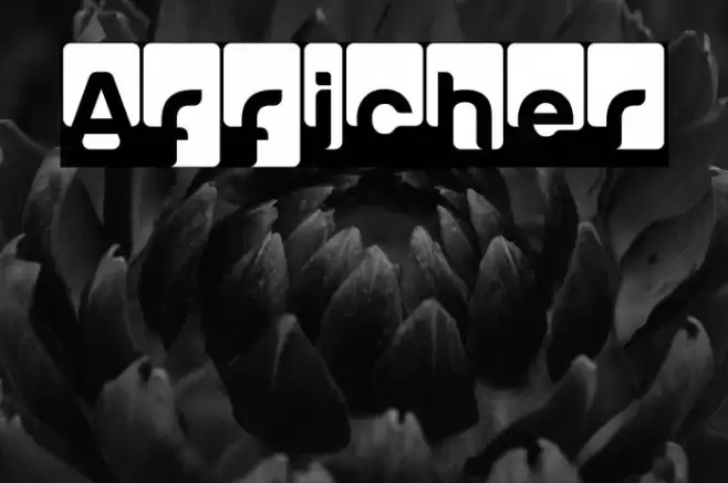 Afficher Font examples