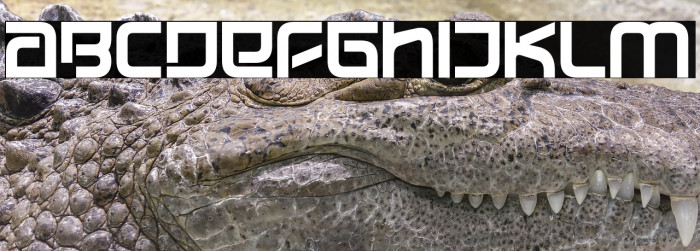 Affinity Future Example 1