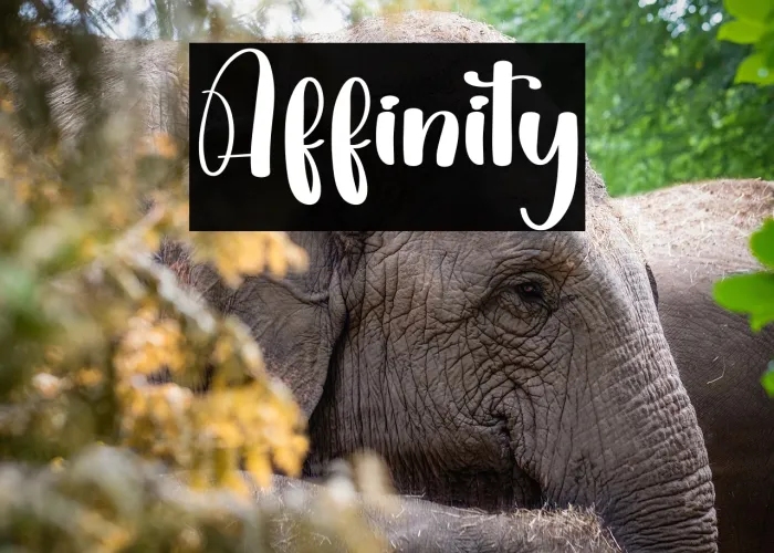 Affinity Example 3