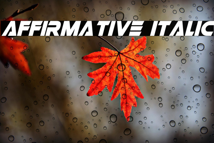 Affirmative Italic Example 3