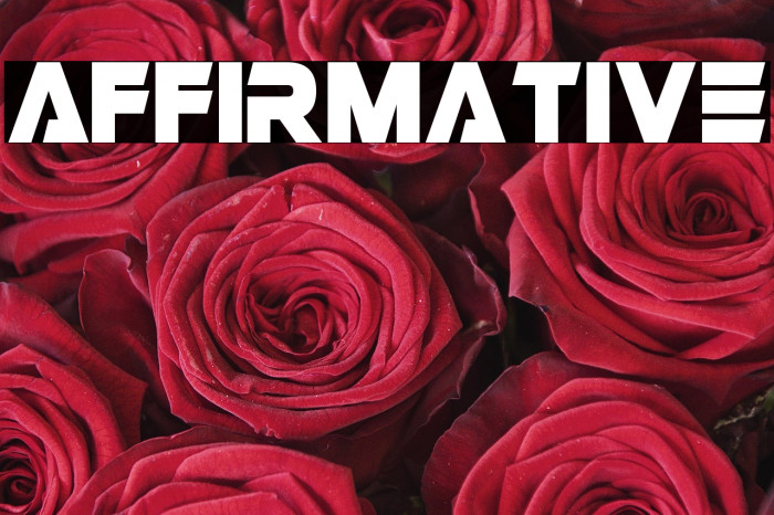 Affirmative Example 2