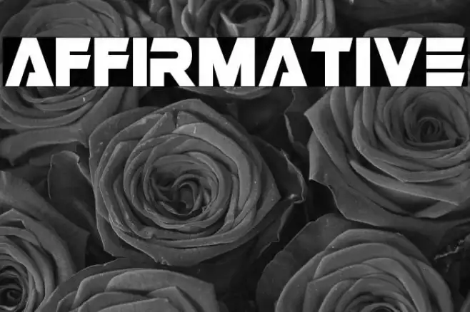 Affirmative Example 2