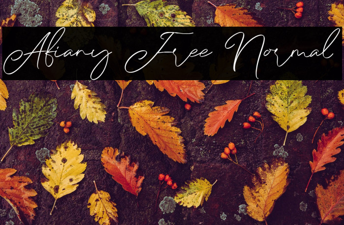 Afiany Free Normal Example 1