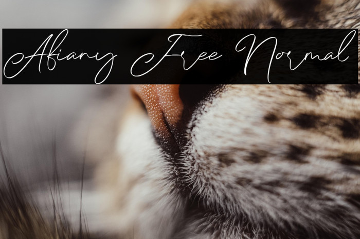 Afiany Free Normal Example 2