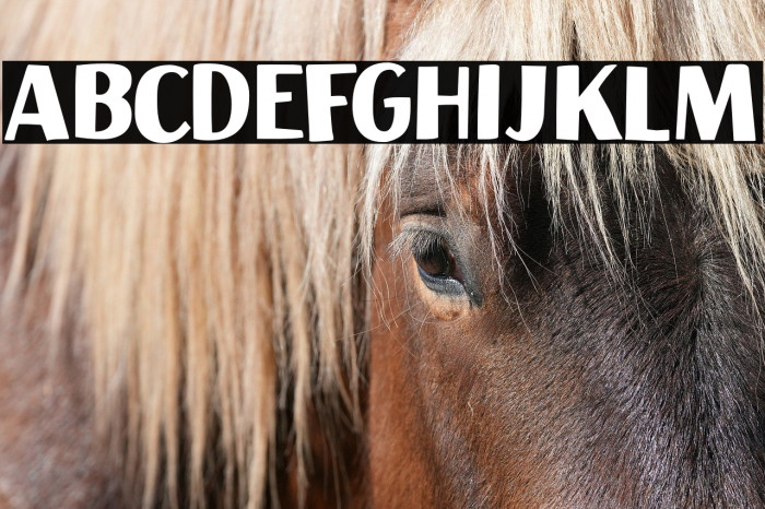 Aficionado DEMO Regular Example 1